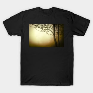 Warm golden fog with trees T-Shirt
